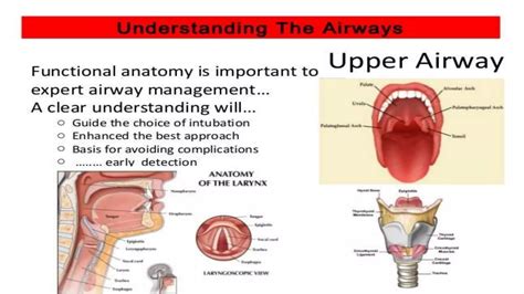 Anesthesia Airway Lavage 的图像结果