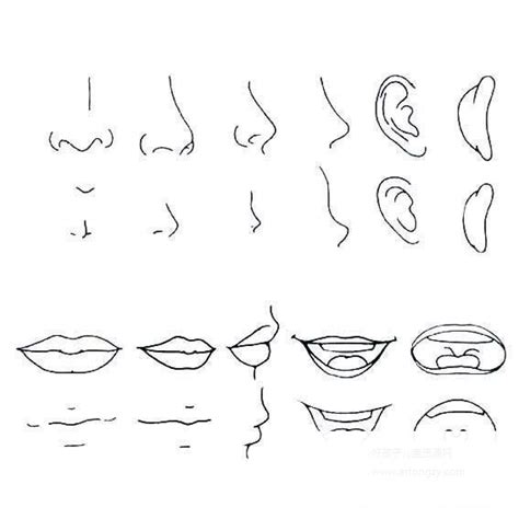 人脸五官图片简笔画人脸五官正面简笔画2022已更新今日更新