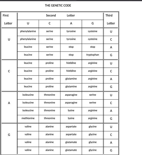 Image result for How to Make DNA Complementary Strands