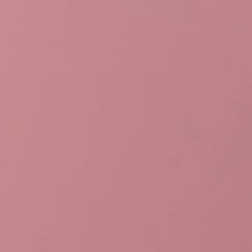 Image result for Shell Pink Color