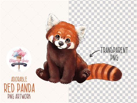 Cute Red Panda Clipart Adorable Red Panda PNG Illustration - Etsy