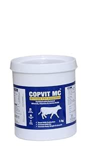 COPVITMC Bypass Fat Powder Fortified with Minerals, Vitamins & Amino ...
