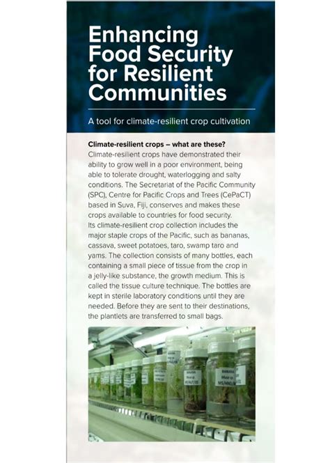 Image result for Food Security Program