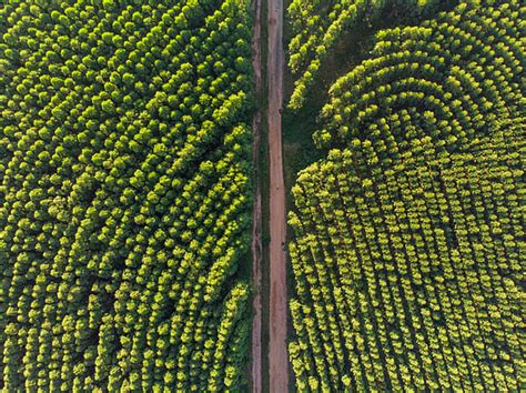 India's Data Centres: Unveiling Water Use Transparency Gaps