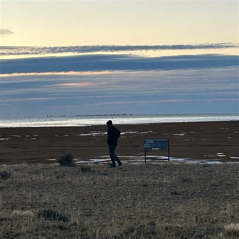 CENTRO DE INTERPRETACIÓN AMBIENTAL DEL ESTUARIO RÍO GALLEGOS - All You ...