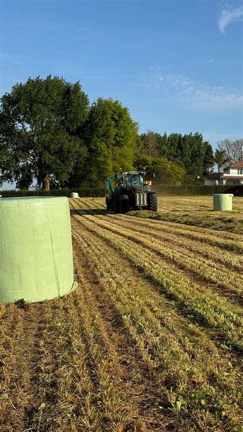 Andrew Macky | Literally farming koi carp!! | Instagram