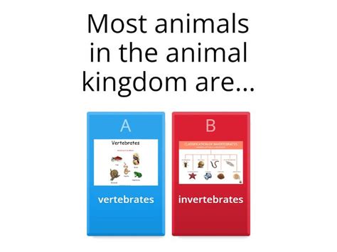 Image result for Classification Key Questions Animals