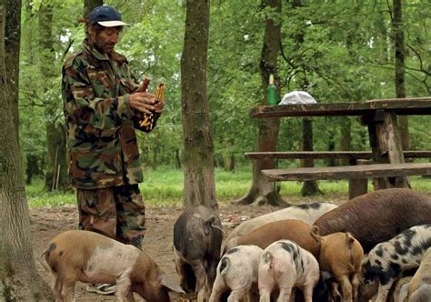 Nacionalni parkovi / Parkovi prirode - Središnja Hrvatska, Hrvatska