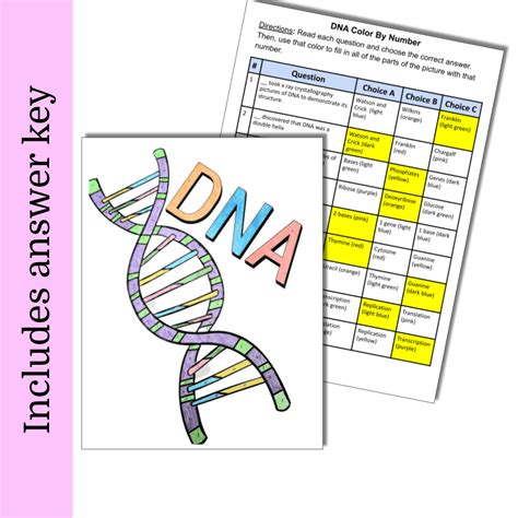 Coloring DNA Worksheet Answers 的图像结果