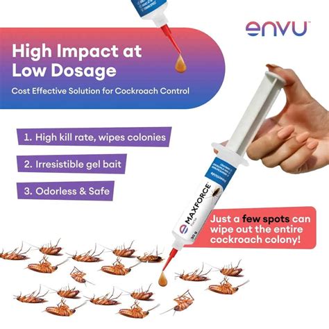 Envu Maxforce Forte Cockroach Killer Gel - 30g | TruMart – trumart