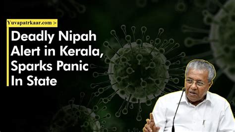 Nipah Virus : Nipah Virus Panic in Kozhikode, Kerala, Infection ...
