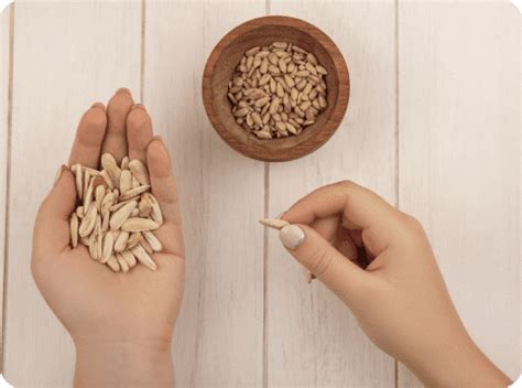 IUI (Intrauterine Insemination) Treatment: Cost, Process & Success Rate ...