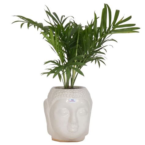 Heart Home Buddha Flower Pot|Buddha Head Shape Flower Planter|Plastic ...