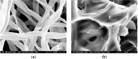 Radiation-Induced High-Temperature Conversion of Cellulose