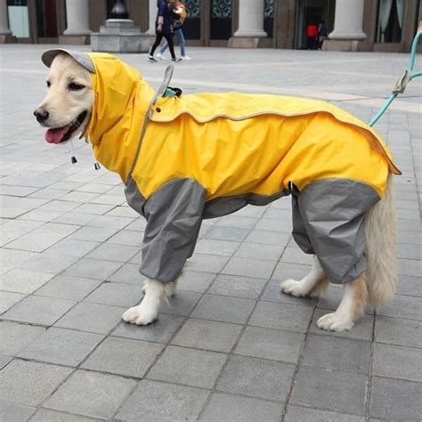 Bhumi Enterprises Dog Raincoats Rain Snow Coats Waterproof Clothing 4 ...
