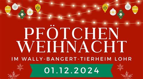 Pfötchen-Weihnacht 2024, Pfingstgrundstraße 1, 97816 Lohr, Germany ...