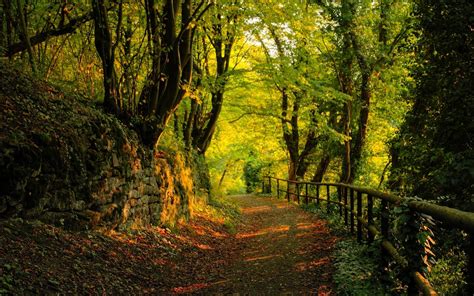 Country Scenery 的图像结果