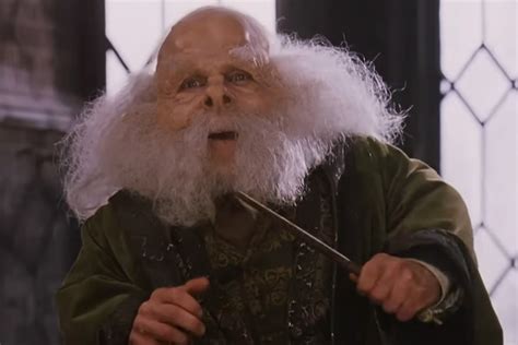 Warwick Davis says HBO's Harry Potter TV series will be "very faithful ...