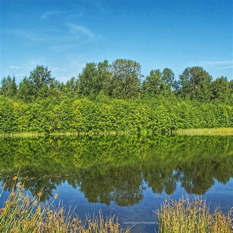 GREEN TIMBERS URBAN FOREST (2026) All You Need to Know BEFORE You Go ...