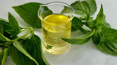 Carrier Oils: The Complete List - The Lipid Oils Academy