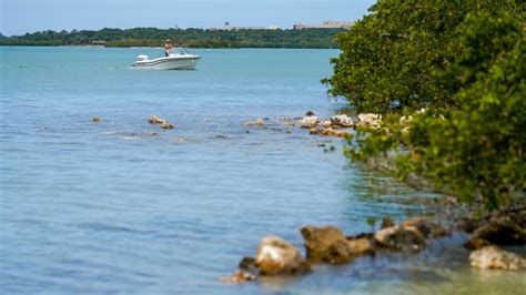 A Duke Energy contractor hit a pipe. 45,000 gallons of treated ...