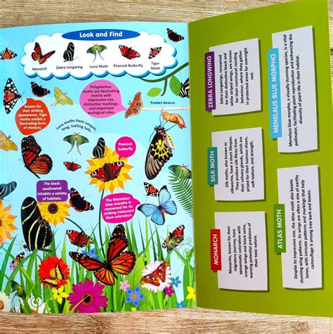 Discovering Delights - Insects and Reptiles - Flap Book for Kids (Look ...