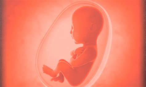 Latest Courts Updates, Major Judgments