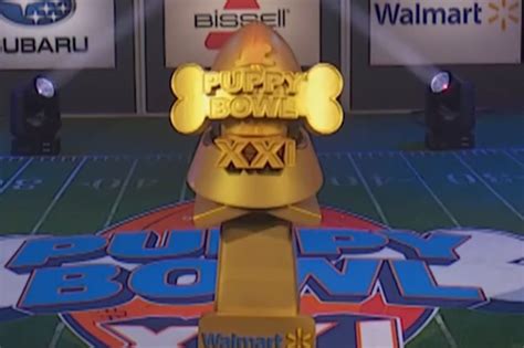 Team Fluff wins the 2025 Puppy Bowl (Video) | New York Post