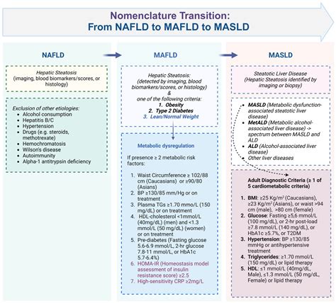 Unraveling Metabolic Dysfunction-Associated Steatotic Liver Disease ...
