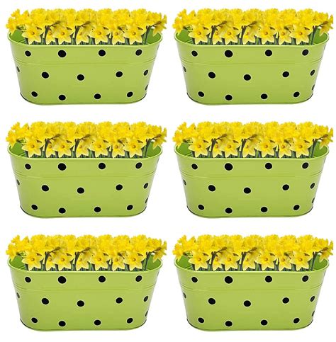 AMNA GARDENS™ Imagine Metal Railing Planter's with Detachable Handle,I ...