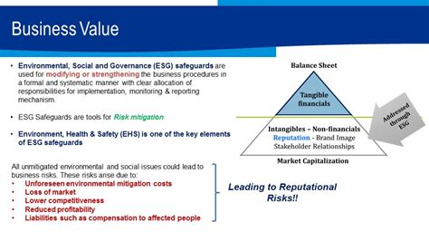 Environment, Health and Safety Assessment (Environmental Audit)