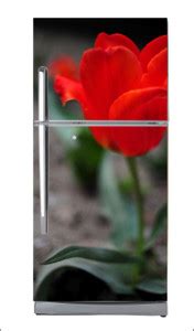 Decoration Designs 60 cm Red amoled flower Large Single Door Fridge ...