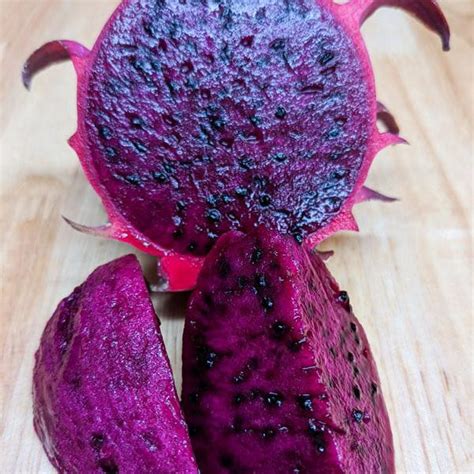 Red Jaina Dragon Fruit (Selenicereus undatus) – veliyathgardens