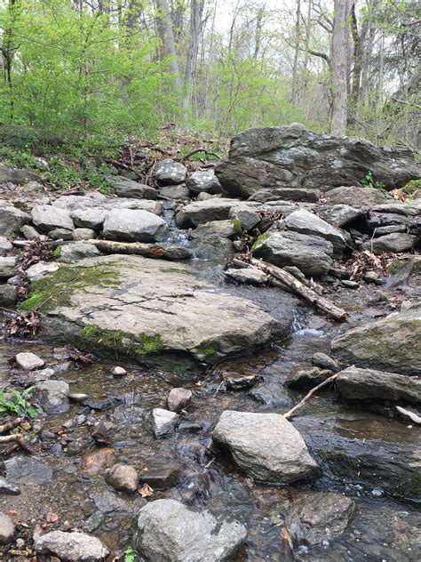 Lake Mohegan Fairfield Ct History at Sandra Downs blog