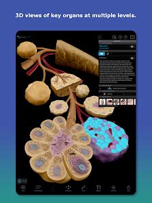 Human Anatomy Atlas 2026 – Apps on Google Play