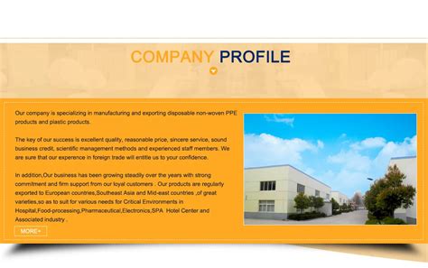 Company Overview - Wuhan Topsun International Trade Co., Ltd.
