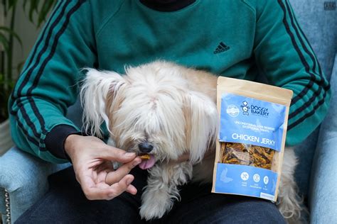 The Impact of Preservatives in Commercial Dog Treats – The Doggy Bakery