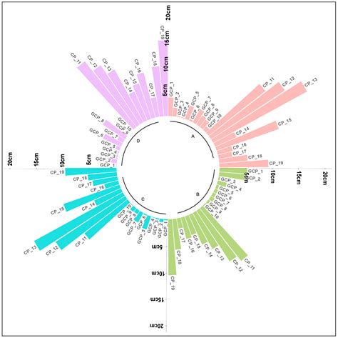 Assessment of Photogrammetric Performance Test on Large Areas by Using ...