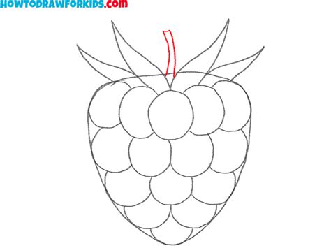 Image result for Draw Raspberry