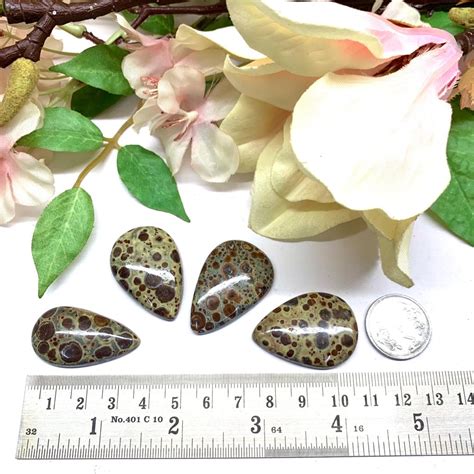 Orbicular Jasper Cabochons for Patience Online at Talk to Crystals