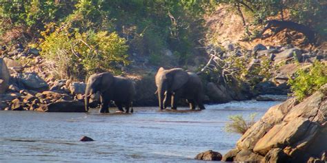 Chikwawa Tourism (2023): Best of Chikwawa, Malawi - Tripadvisor