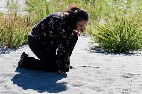 California’s Yurok Tribe gets back ancestral lands that were taken over ...