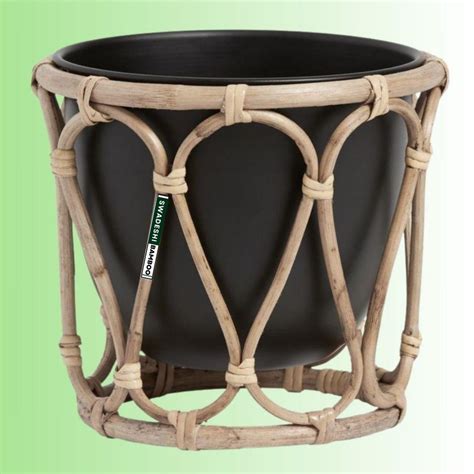 Swadeshi Bamboo (Set of 1) Cane Bamboo Rattan Hanging/Table Planter St ...