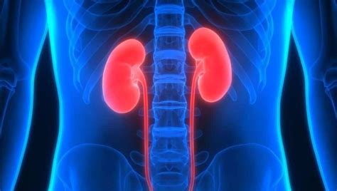 Ethiopian boy undergoes complex kidney transplantation in B'luru - THIP ...