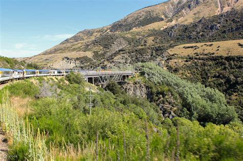 TranzAlpine Ticket between Christchurch and Greymouth - Klook India
