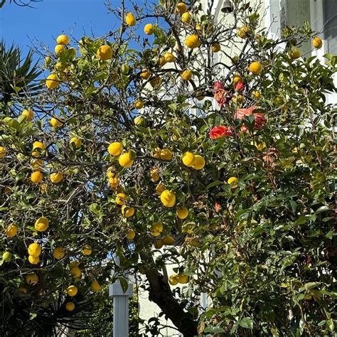 Mila | Want this everyday | Instagram