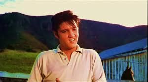 The “Elvis Movie” genre - nicktyrone.com
