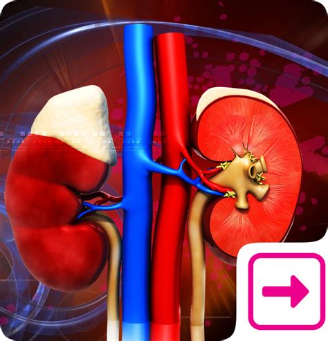 Dialysis Care Centre in Miyapur | Dialysis Specialist in Hyderabad