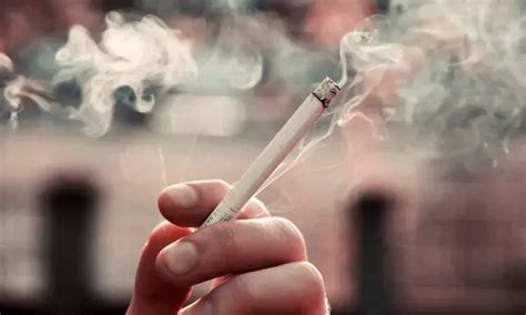 Parental Smoking Linked to Increased Risk of Birth Defects in Offspring ...