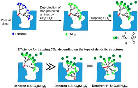 Investigation of Phosphorus Dendrons and Their Properties for the ...